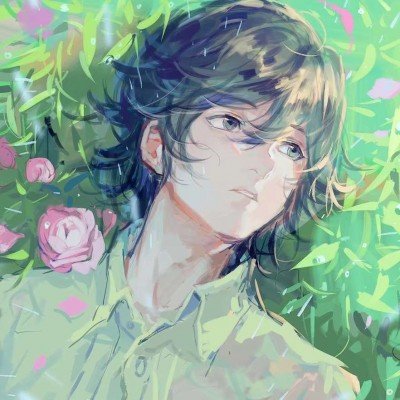 济南XXL锦鲤双倍可爱暴击